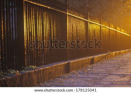 Wrought Iron Fence at dawn, Gramercy Park, NY City