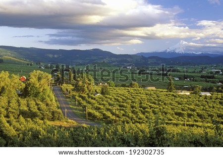 Vista of Hood River Valley with Mt. Hood, OR