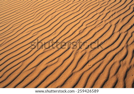 Close up of sand in Coral Pink Sand Dunes State Park, southern UT