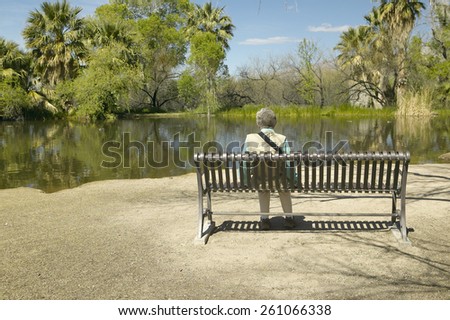 Person sitting on a bench admiring the spring nature in Agua Canyon, Tucson, AZ
