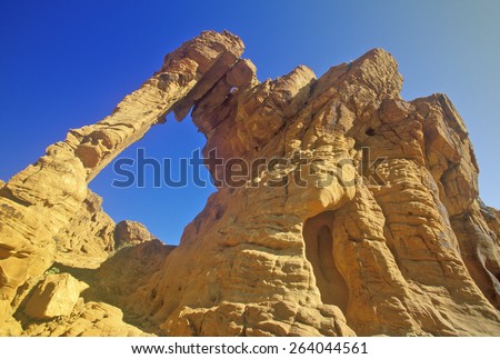 Sandstone formation called Elephant Rock in Valley of Fire State Park, NV
