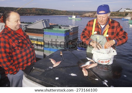 Two fishermen with catch of mackerel, Neil's Harbor, Cape Breton, Nova Scotia, Canada