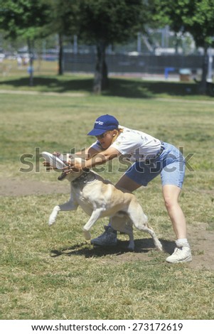 Dog and man practicing at Canine Frisbee Contest, Westwood, Los Angeles, CA