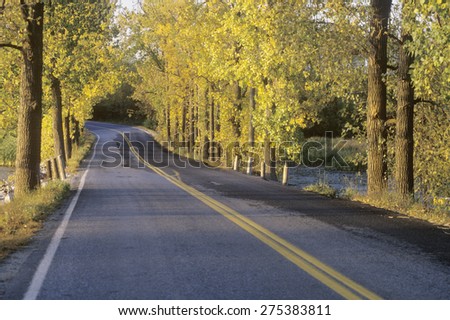 A two lane road crosses the New York-Vermont border surrounded by autumn trees