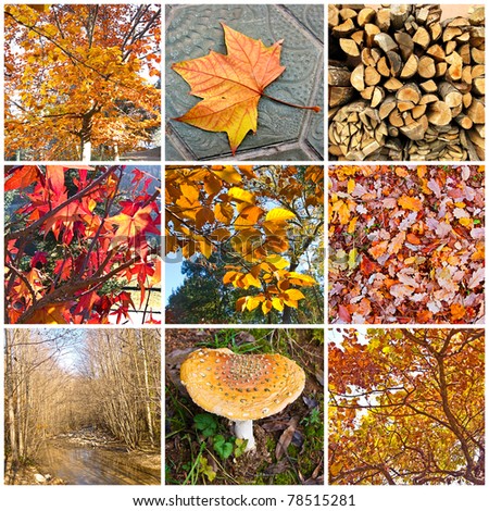 Autumn collage showing different autumn pictures