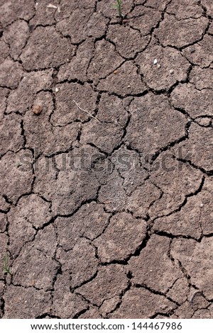 Soil drought.