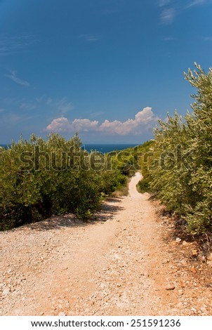 Photo of green olives on the olive tree against blue sea