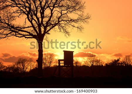 Sunset with hunter seat and trees silhouettes
