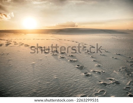 Similar – Image, Stock Photo Trace in the sand