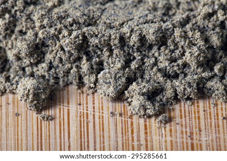 close up of heap of raw organic hemp protein powder