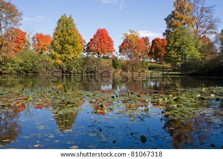 Autumn reflections at Middle Creek Wildlife Management Area in Lancaster County,Pennsylvania.