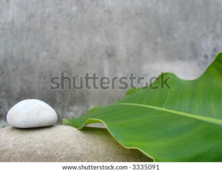 Zen still life - pebbles and leaf