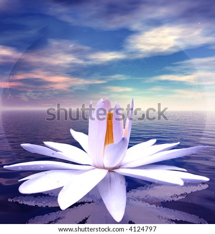 White lotus flower reflected on tranquil waters