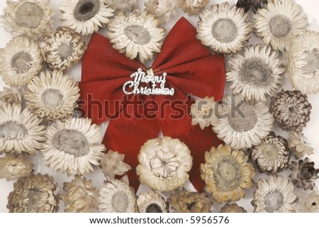 Red christmas bow over sepia flowers background