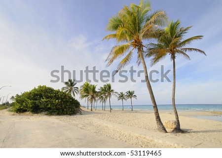 View of tropical paradise with palm trees at Santa Maria beach, Cuba.