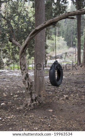 tire swing on a tree in the forest