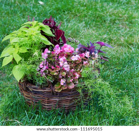 beautiful basket of flowers in the garden landscape