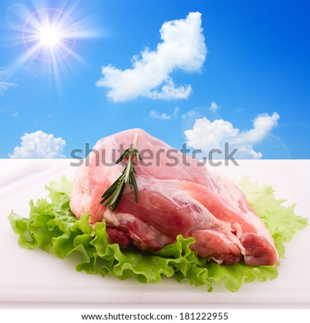 Sliced pieces of raw meat for barbecue. Food, spices for cooking meat. Collage, sun, sky, clouds. Free space for text.