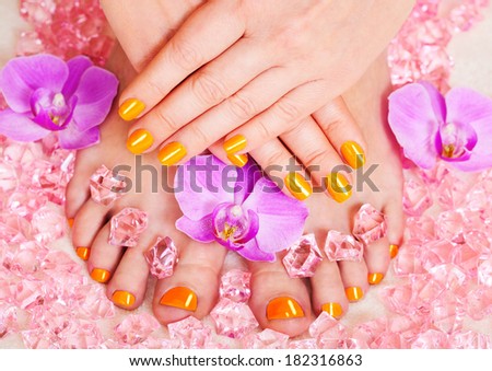 Unusual manicure and pedicure. Body care, spa treatments. Flowers orchid. Nail polish and Accessories. Colorful Studio Shot of Stylish Woman. Vivid Colors. Rainbow Colors