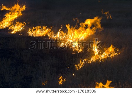 Farmers doing a seasonal burning of the prairie