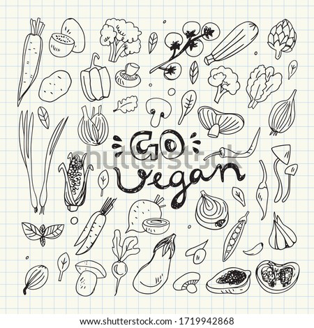 Vegan Food Doodles. Hand Drawn Vegetables. Corn,Potato,Mushroom,Olives,Tomato,Garlic,Onion,Eggplant,Peas,Broccoli,Papaya,Beet,Carrot,Hot Pepper.