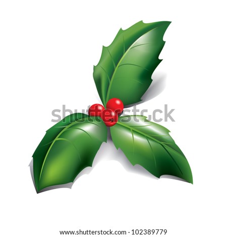 Holly Stock Vector Illustration 102389779 : Shutterstock