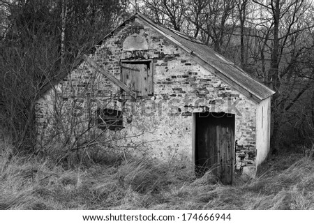 Black and white shot of an old shack in a forest