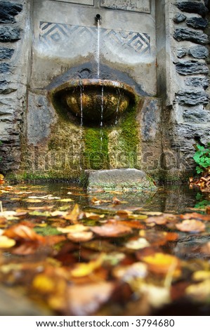 Water well in the forest with many color leaves