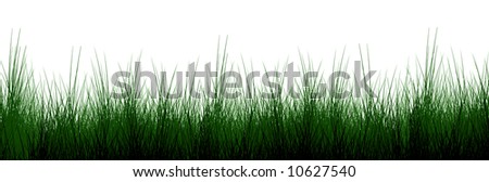 Green grass background with shaded areas