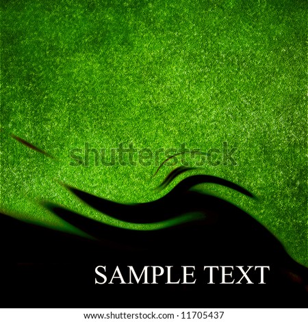 Green grass background with shaded areas