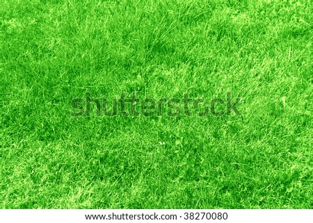 green grass texture with some bright spots in it