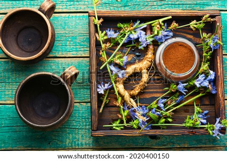 Chicory root and chicory flowers on rustic wooden background,alternative medicine.Cichorium intybus.Chicory drink Foto d'archivio © 