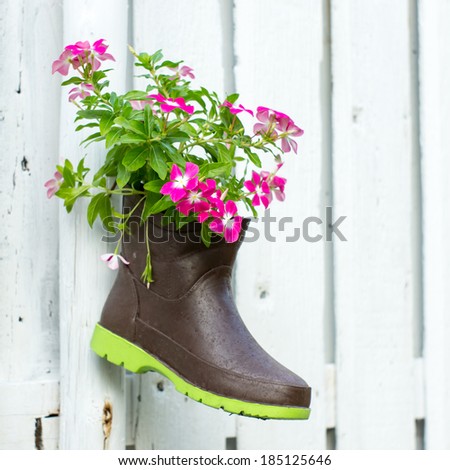 flowers plant in old rubber boots.