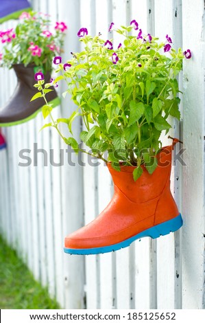 flowers plant in old rubber boots.