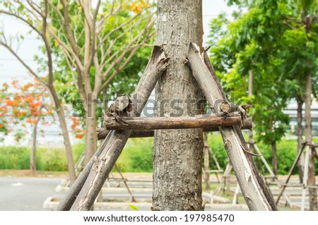 Tree support in the park, close up.