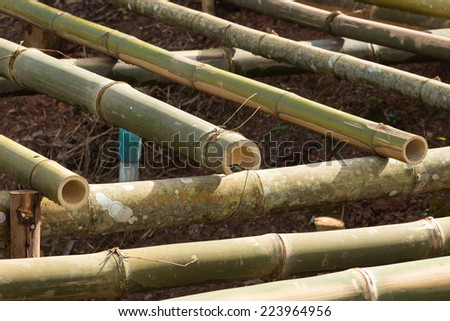 Construction of a wooden terrace by bamboo.
