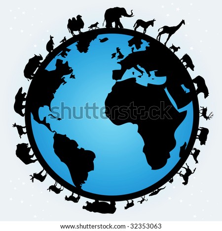 world of animals