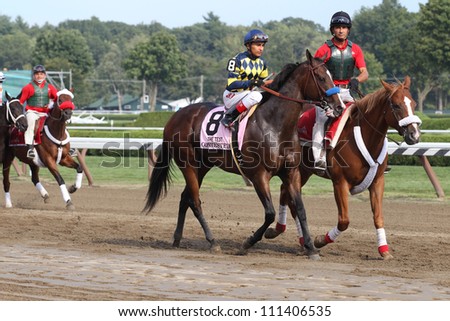 SARATOGA SPRINGS, NY - AUGUST 25: Contested with Rafael Bejarano aboard in the post parade for the Grade I TEST STAKES on August 25, 2012 Saratoga Springs, New York