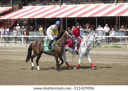 SARATOGA SPRINGS, NY - August 29, 2015: #5 Aztec Sense ridden by Gary Stevens before the 2nd race on Travers Day at Historic Saratoga Race Course on August 29, 2015 Saratoga Springs, New York