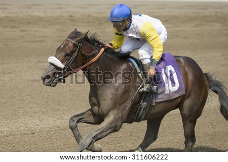 SARATOGA SPRINGS, NY - August 29, 2015: #10 Tale of S\'avall ridden by C. Velasquez wins the 4th race on Travers Day at Historic Saratoga Race Course on August 29, 2015 Saratoga Springs, New York