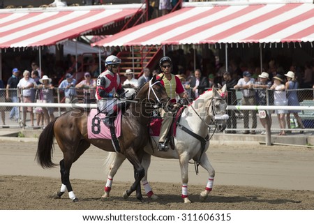 SARATOGA SPRINGS, NY - August 29, 2015: #8 Grand Candy with J.L. Ortiz in  post parade for 4th race on Travers Day at Historic Saratoga Race Course on August 29, 2015 Saratoga Springs, New York