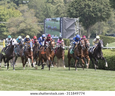SARATOGA SPRINGS, NY - August 29, 2015: The field heads for home in the 5th race on Travers Day at Historic Saratoga Race Course on August 29, 2015 Saratoga Springs, New York
