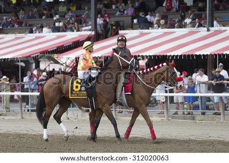 SARATOGA SPRINGS, NY - August 29, 2015: Dame Dorothy in the Post Parade for the Ballerina Stakes on Travers Day at Historic Saratoga Race Course on August 29, 2015 Saratoga Springs, New York