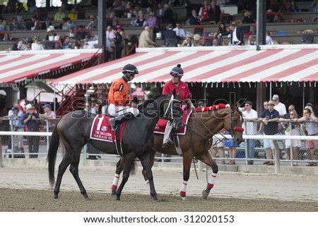 SARATOGA SPRINGS, NY - August 29, 2015: Sarah Sis in the Post Parade for the Ballerina Stakes on Travers Day at Historic Saratoga Race Course on August 29, 2015 Saratoga Springs, New York