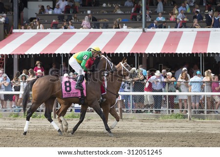 SARATOGA SPRINGS, NY - August 29, 2015: Classy Class in the Post Parade for the King\'s Bishop Stakes on Travers Day at Historic Saratoga Race Course on August 29, 2015 Saratoga Springs, New York