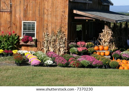 Autumn Colors at country store