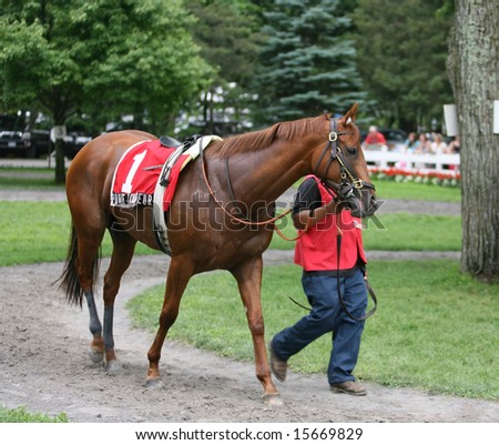 SARATOGA SPRINGS - August 2: Porte Bonheur is walked in the Paddock by her Groom before the running of \
