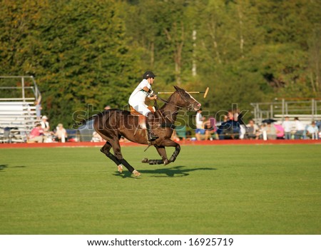 SARATOGA SPRINGS - August 27: Unidentified Polo Player in fast Action during match at Saratoga Polo Club August 27, 2008 in Saratoga Springs, NY.