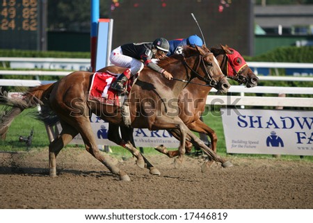 SARATOGA SPRINGS - August 22: Ginger Punch with Rafael Bejarano Aboard Beats Lemon Drop Mom by a nose to Win the Personal Ensign Grade I Stakes Race August 22, 2008 in Saratoga Springs, NY.