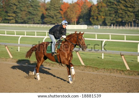 SARATOGA SPRINGS - October 12:  A Single Rider in the Morning Workouts at the Oklahoma Training Track on October 12, 2008 in Saratoga Springs, NY